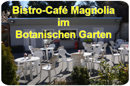 Bistro-Cafe Magnolia
