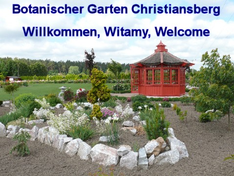 Introseite - Botanischer Garten Christiansberg